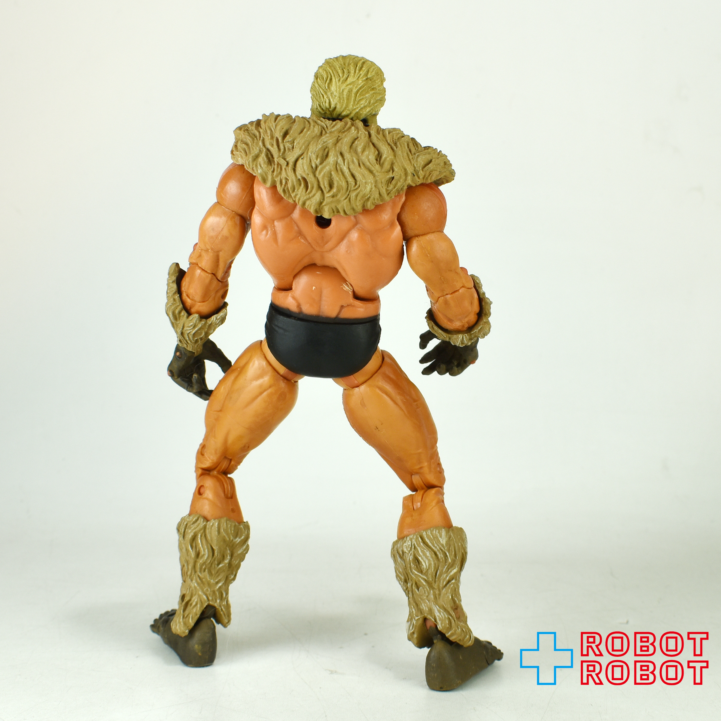 マーベルレジェンド トイビズ フェイス・オフ シリーズ セイバートゥース 6インチ アクションフィギュア ルース 入荷写真