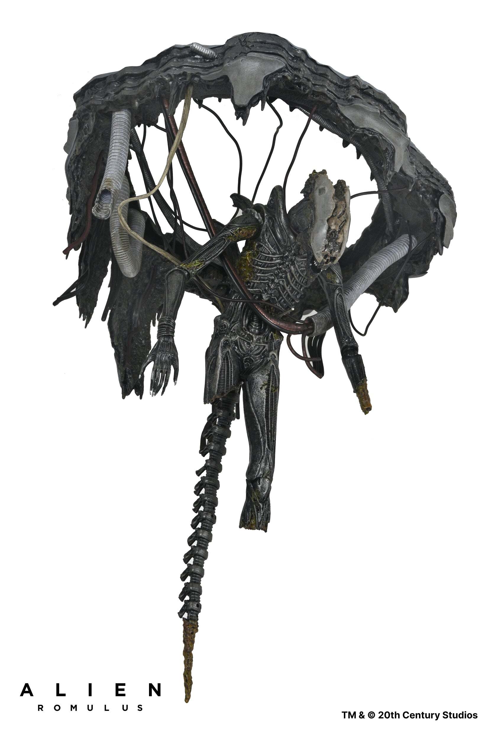 ネカ エイリアン ロムルス ゼノモーフ XX121 サスペンデッド・ラボ DX 7インチ アクションフィギュア 未開封 入荷写真