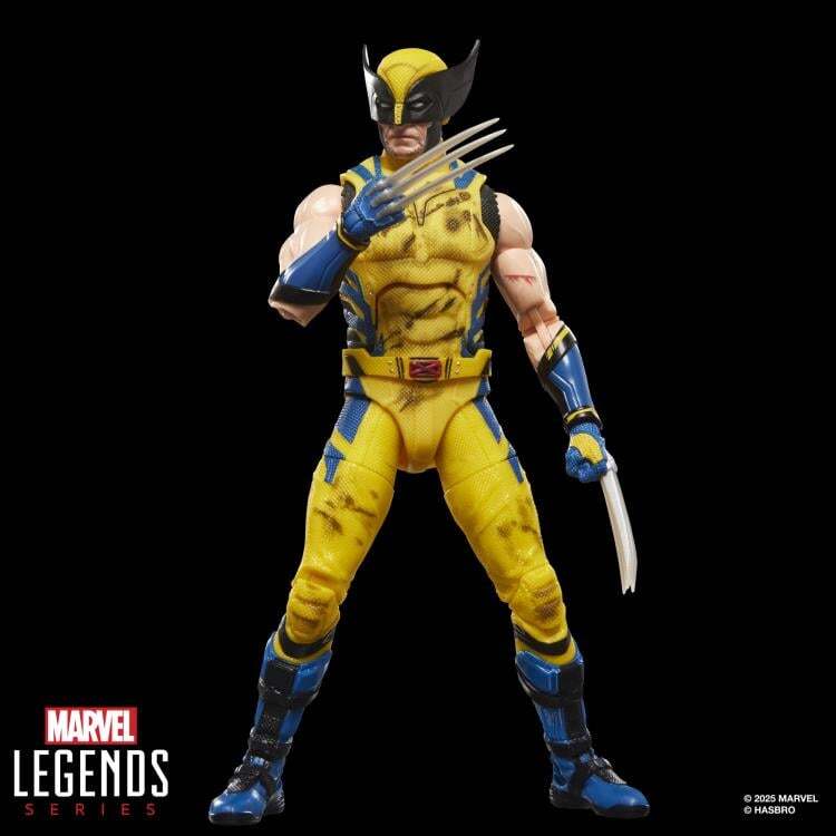 マーベルレジェンド MCUシリーズ デッドプール ＆ ウルヴァリン/ ウルヴァリン (バトルダメージスーツ) 6インチ アクションフィギュア 未開封 入荷写真