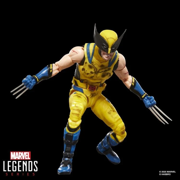 マーベルレジェンド MCUシリーズ デッドプール ＆ ウルヴァリン/ ウルヴァリン (バトルダメージスーツ) 6インチ アクションフィギュア 未開封 入荷写真
