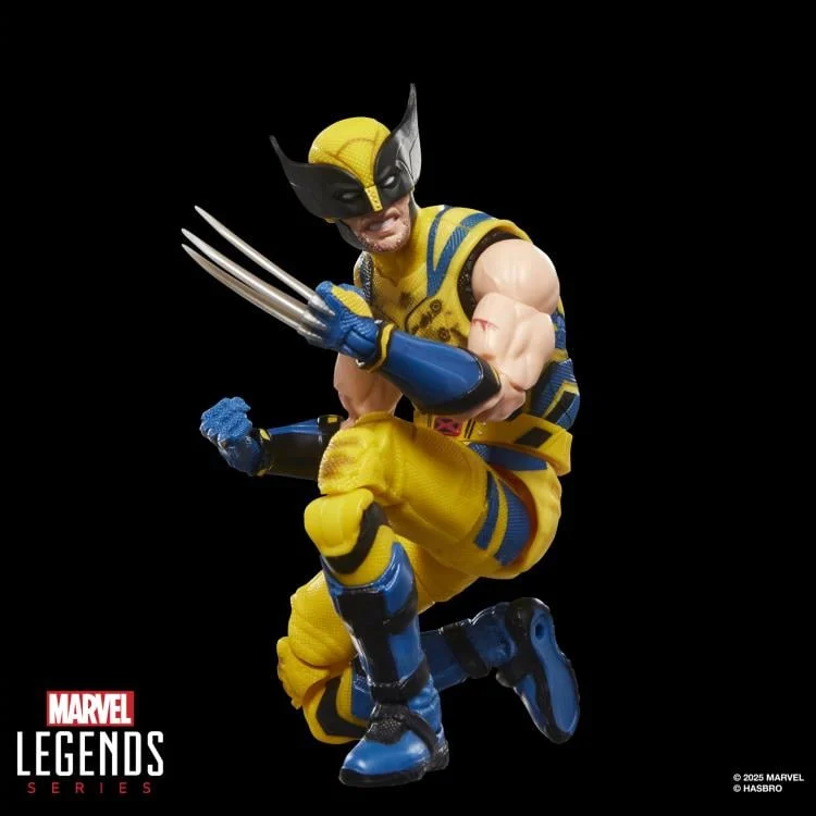 マーベルレジェンド MCUシリーズ デッドプール ＆ ウルヴァリン/ ウルヴァリン (バトルダメージスーツ) 6インチ アクションフィギュア 未開封 入荷写真