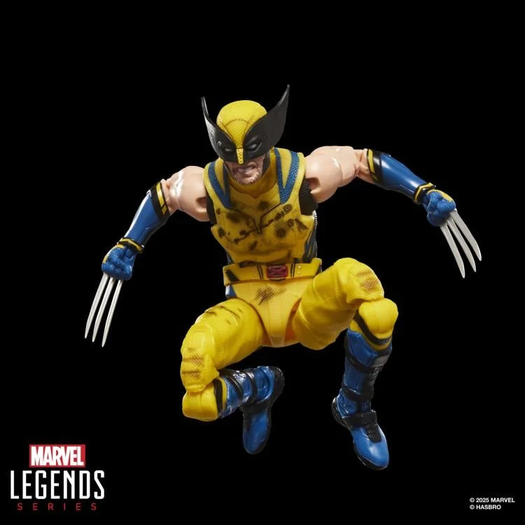 マーベルレジェンド MCUシリーズ デッドプール ＆ ウルヴァリン/ ウルヴァリン (バトルダメージスーツ) 6インチ アクションフィギュア 未開封 入荷写真