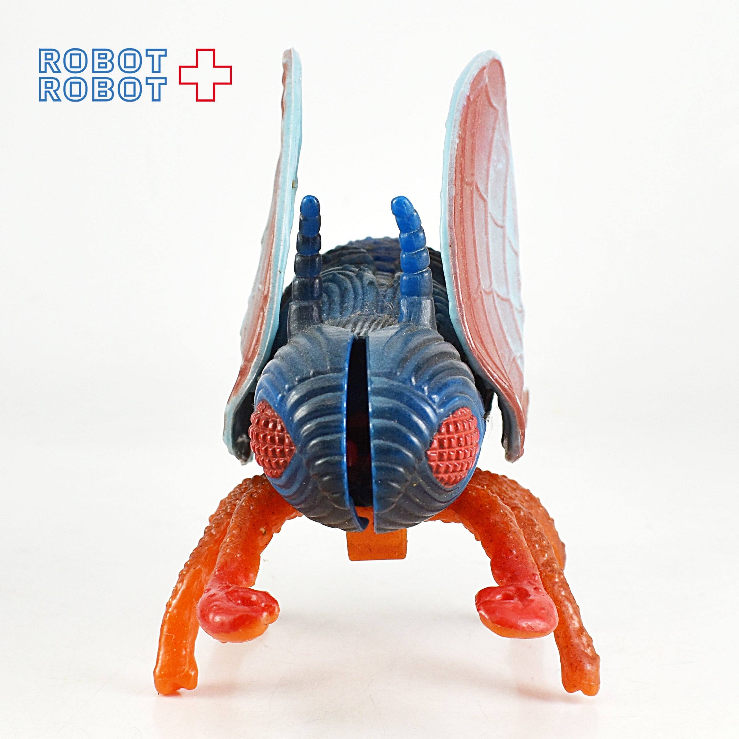 ロック＆バグ＆シングス ブラッダーフライ 入荷写真