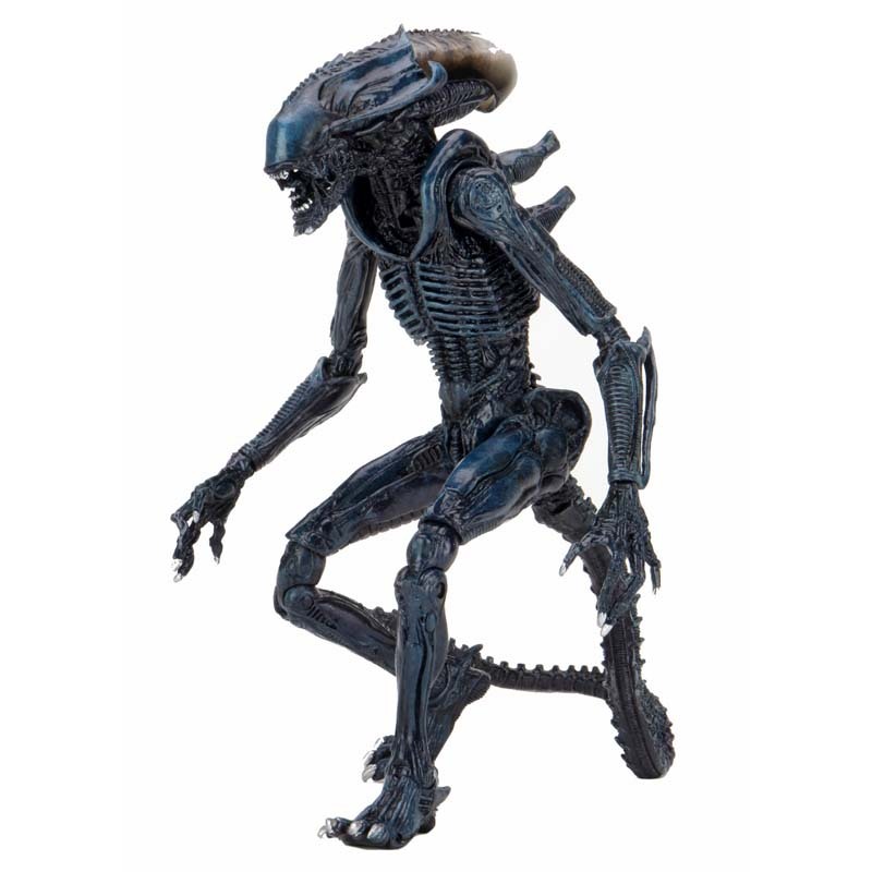 ネカ NECA エイリアン2 アラクノイド・エイリアン 7インチ アクションフィギュア 未開封 入荷写真