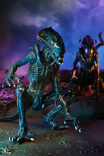 ネカ NECA エイリアン2 アラクノイド・エイリアン 7インチ アクションフィギュア 未開封 入荷写真