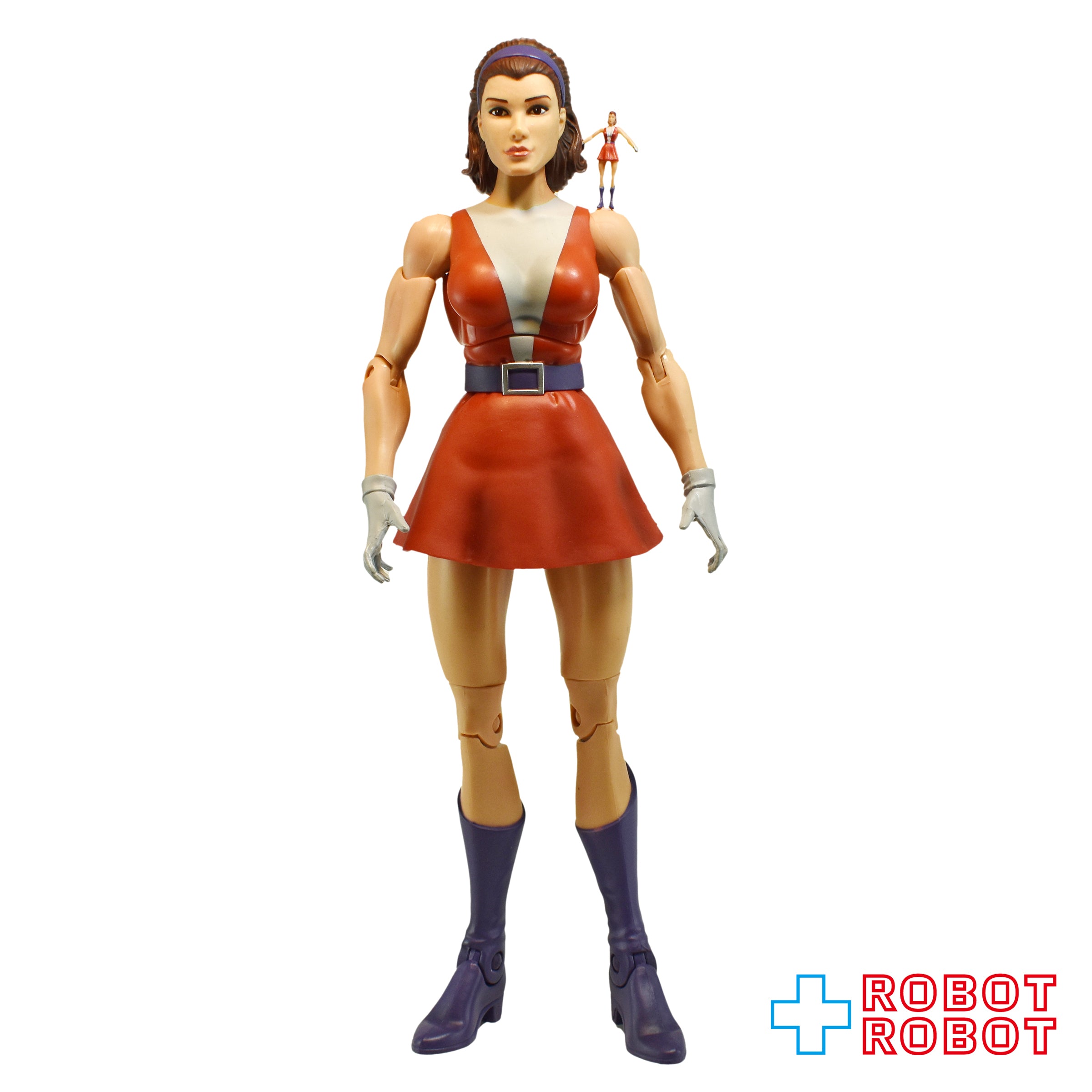 マテル DCユニバース シグネチャーコレクション エラスティ・ガール (リタ・ファー) アクションフィギュア 未開封 入荷写真