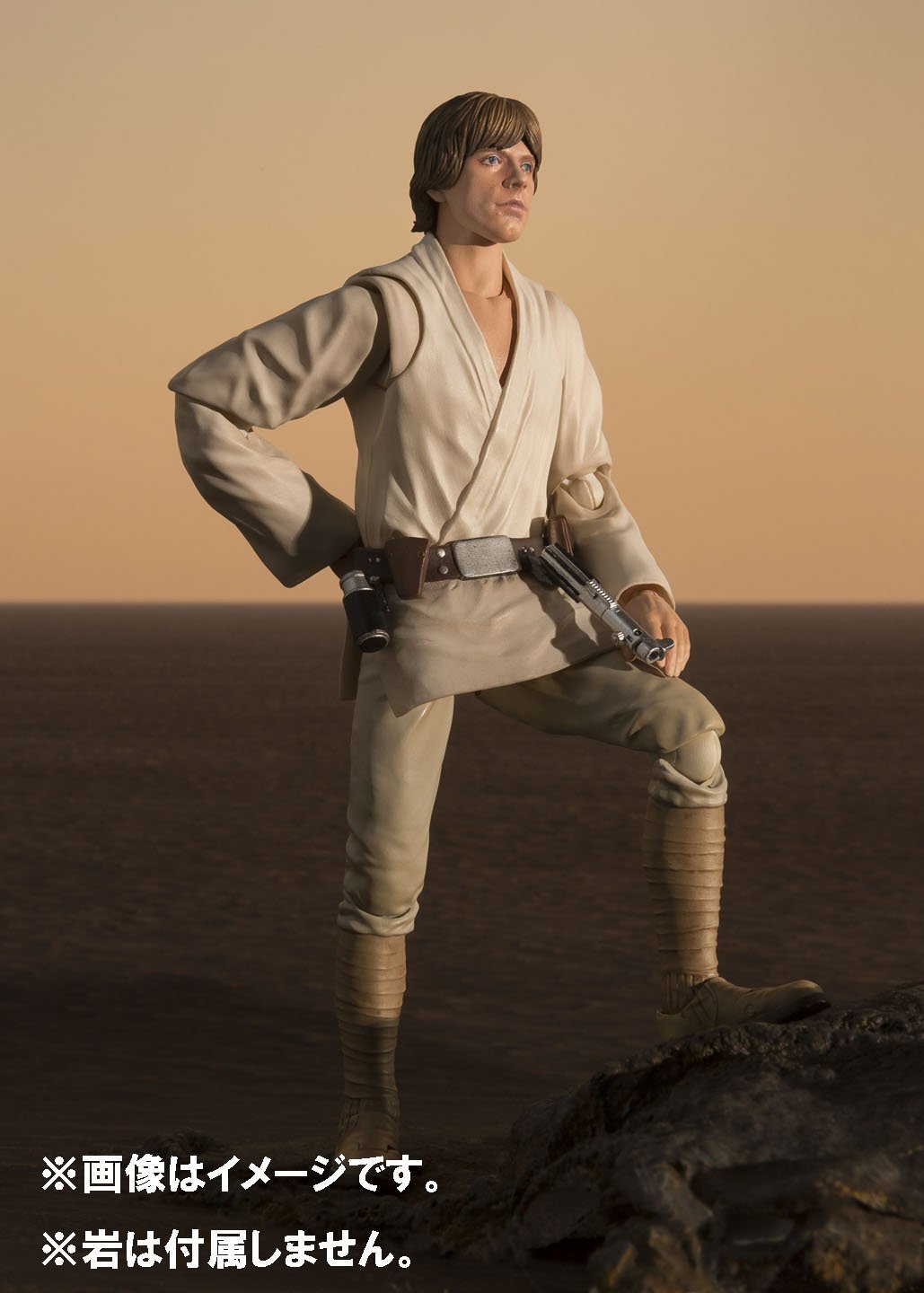 S.H.Figuarts スター・ウォーズ ルーク・スカイウォーカー (新たなる希望) 開封 入荷写真