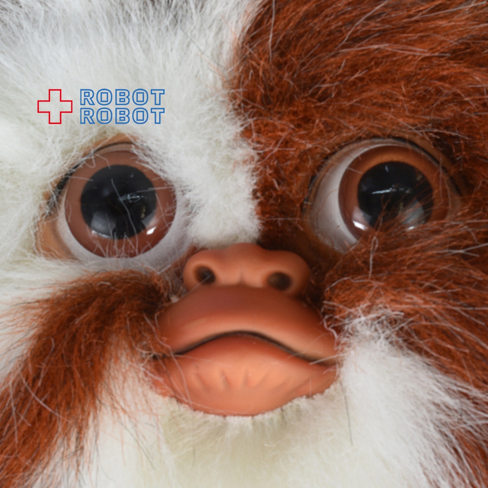 キロン グレムリン ギズモ ぬいぐるみ人形 箱入 入荷写真