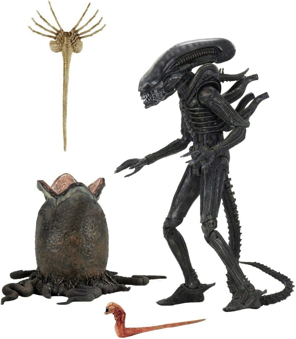 ネカ エイリアン 40th アニバーサリー エイリアン ビッグチャップ 7インチ アルティメット 7インチ アクションフィギュア 未開封 入荷写真