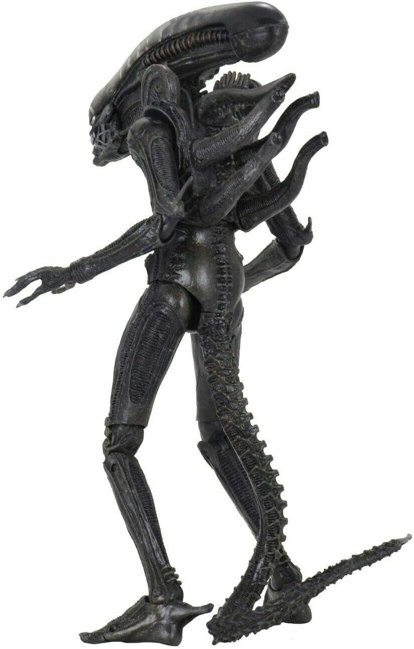 ネカ エイリアン 40th アニバーサリー エイリアン ビッグチャップ 7インチ アルティメット 7インチ アクションフィギュア 未開封 入荷写真