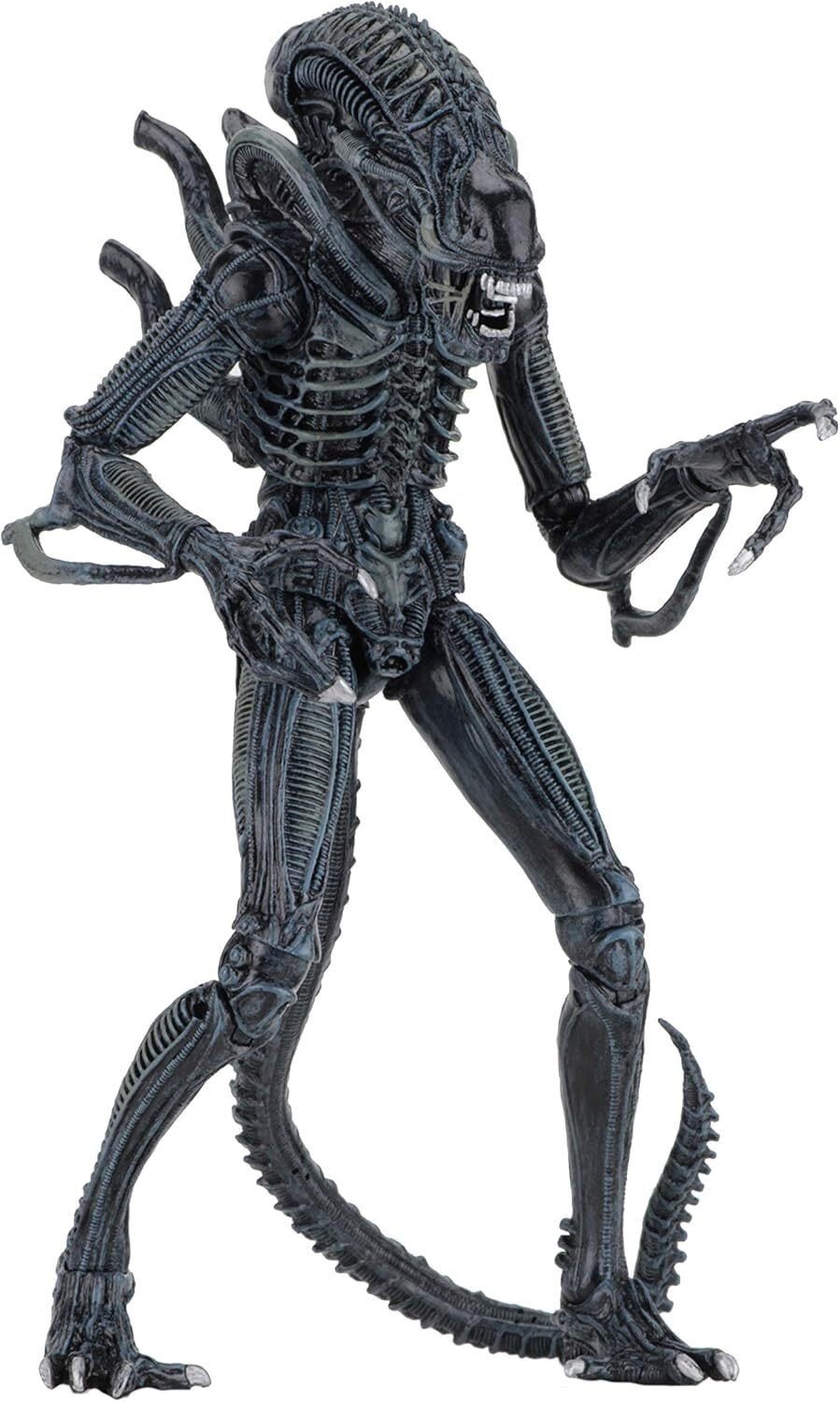 NECA ALIENS エイリアン ウォーリアー ブルー 7インチアルティメット アクションフィギュア 未開封 入荷写真