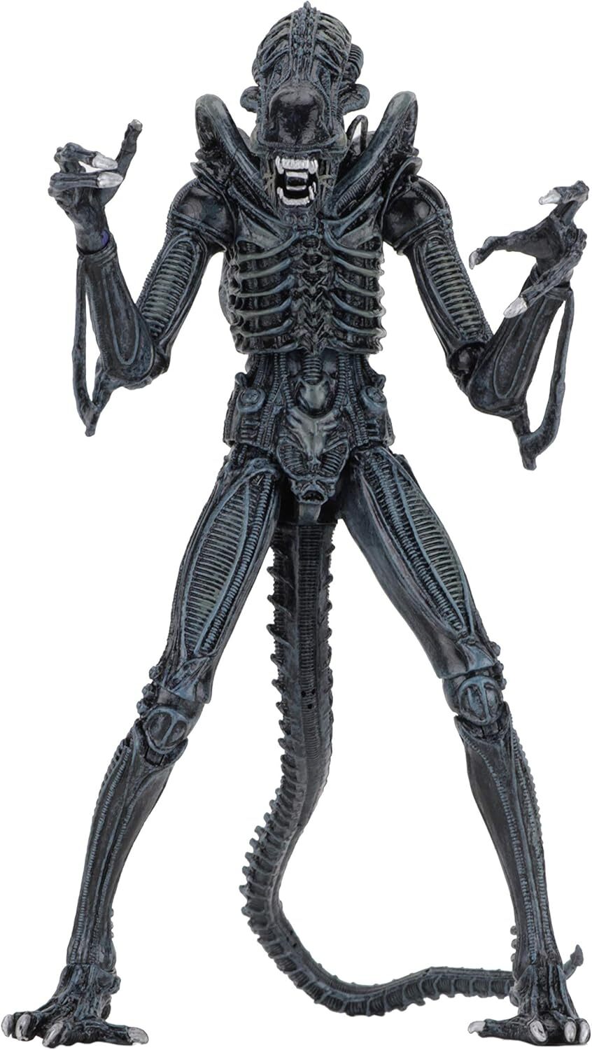 NECA ALIENS エイリアン ウォーリアー ブルー 7インチアルティメット アクションフィギュア 未開封 入荷写真