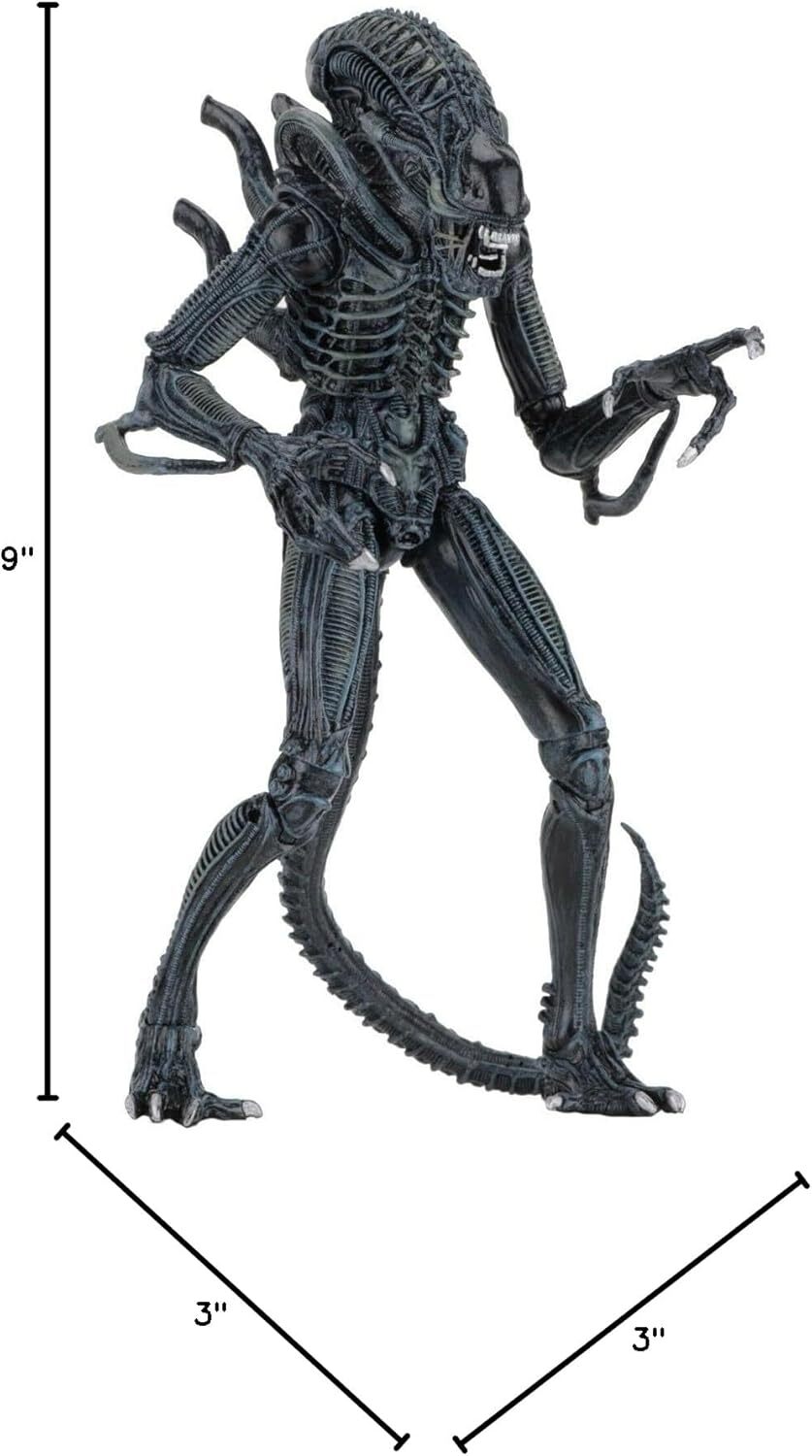 NECA ALIENS エイリアン ウォーリアー ブルー 7インチアルティメット アクションフィギュア 未開封 入荷写真