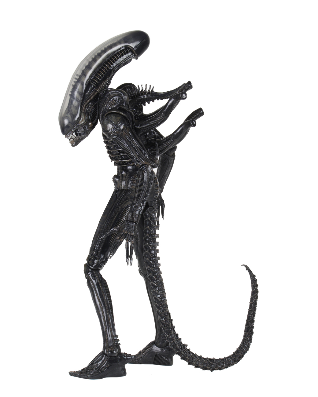 ネカ NECA エイリアン ビッグチャップ 40thアニバーサリー 1/4 アクションフィギュア 箱入 US版 未開封 入荷写真