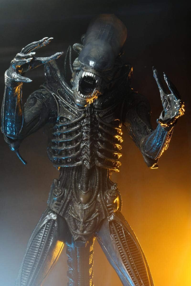 ネカ NECA エイリアン ビッグチャップ 40thアニバーサリー 1/4 アクションフィギュア 箱入 US版 未開封 入荷写真