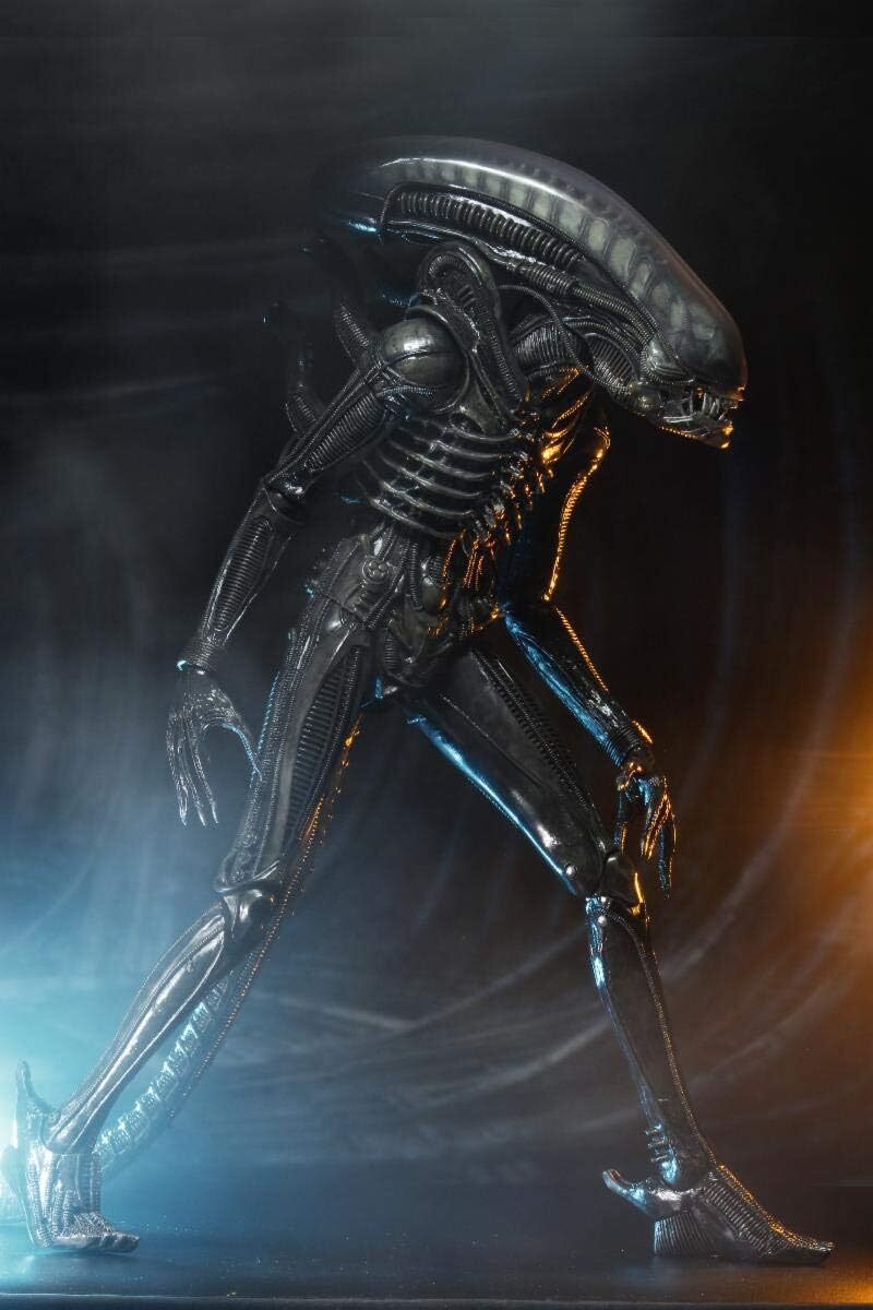 ネカ NECA エイリアン ビッグチャップ 40thアニバーサリー 1/4 アクションフィギュア 箱入 US版 未開封 入荷写真