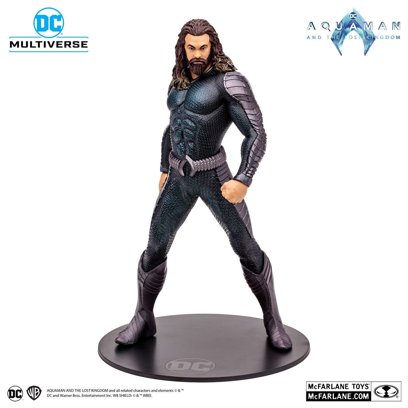 マクファーレン・トイズ DCマルチバース ポーズドスタチュー アクアマン 12インチ 未開封 入荷写真