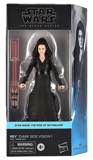 Star Wars Black Series #TRS01 REY (DARK SIDE VISION)  6 inch action figure.jpg
